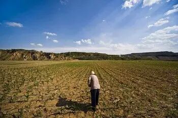 开荒地不给确权？！以后归谁？看完你就明白了