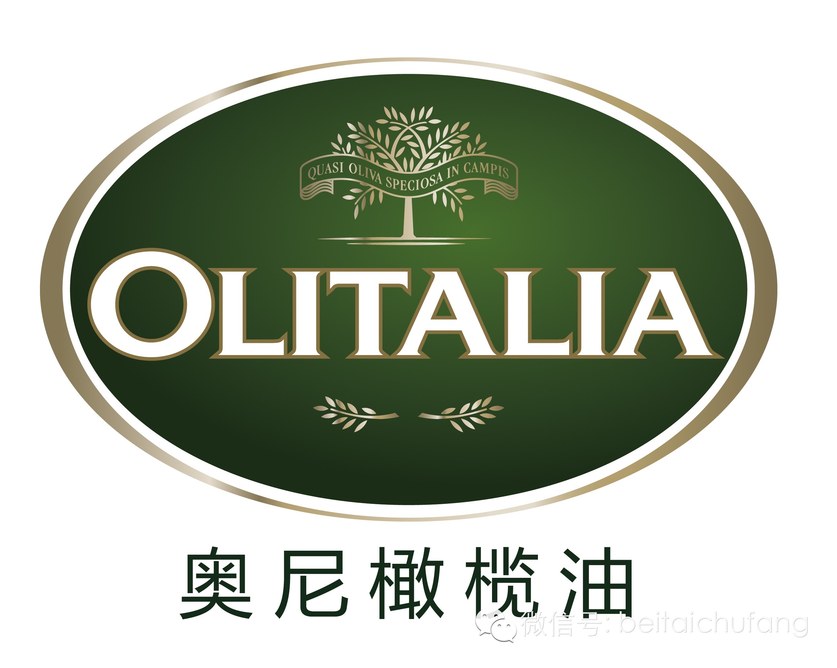 奥尼橄榄油介绍