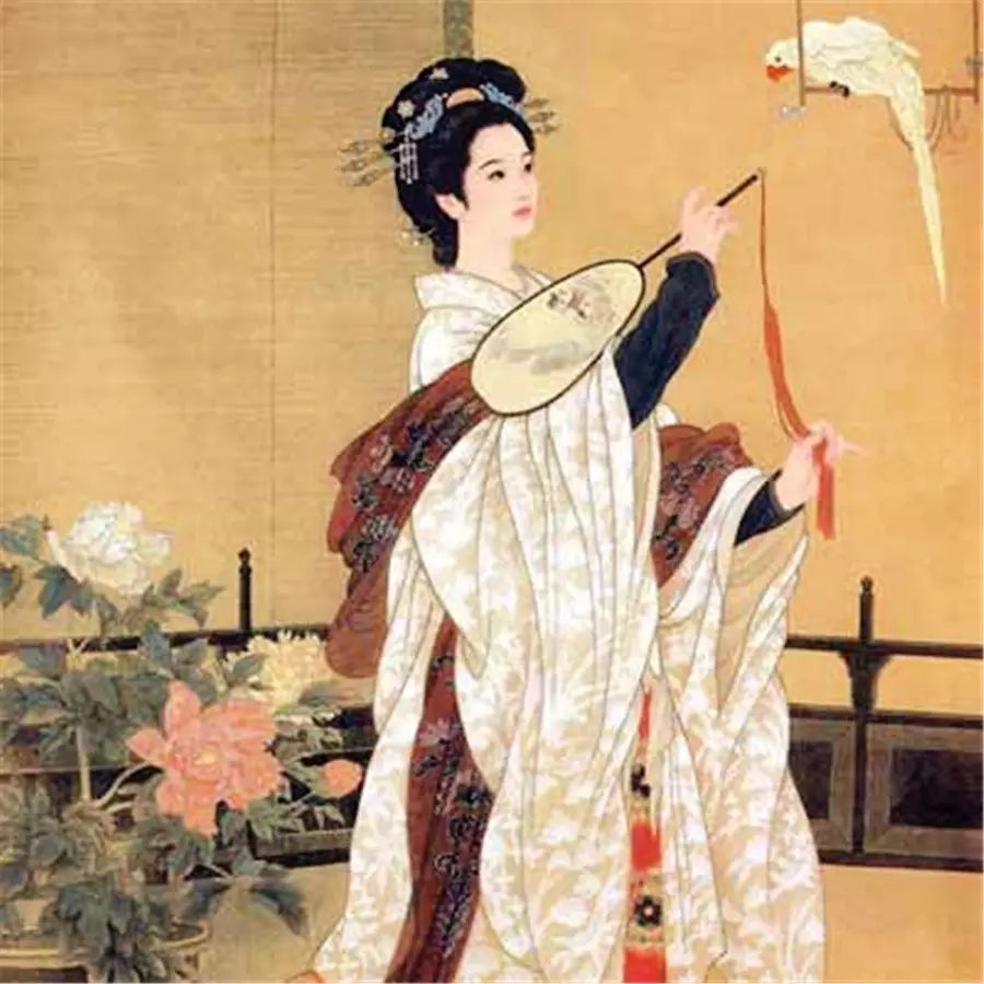 陈圆圆