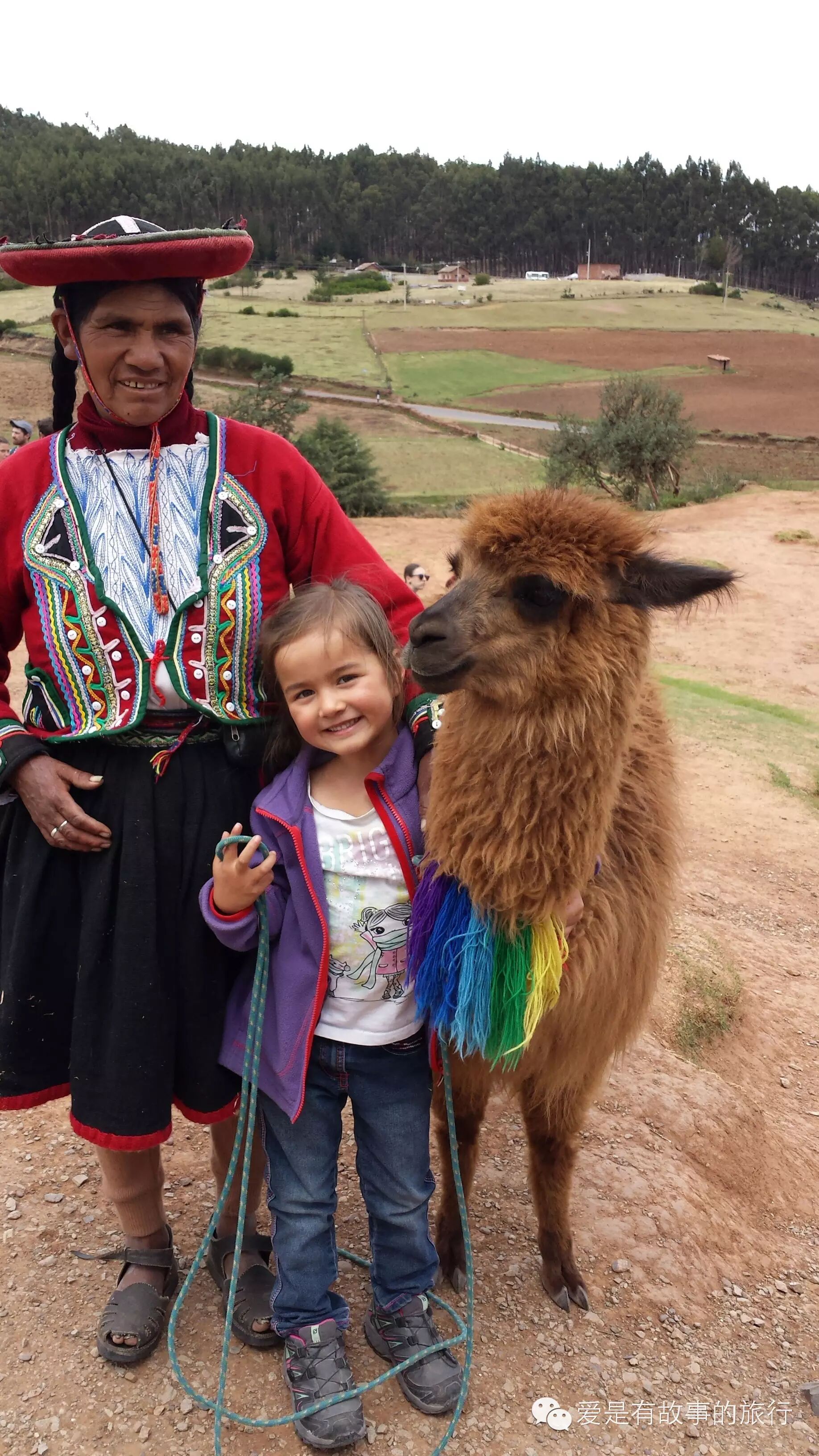 嘉实活期宝货币 嘉实货币a_嘉实货币 嘉实安心货币_秘鲁货币