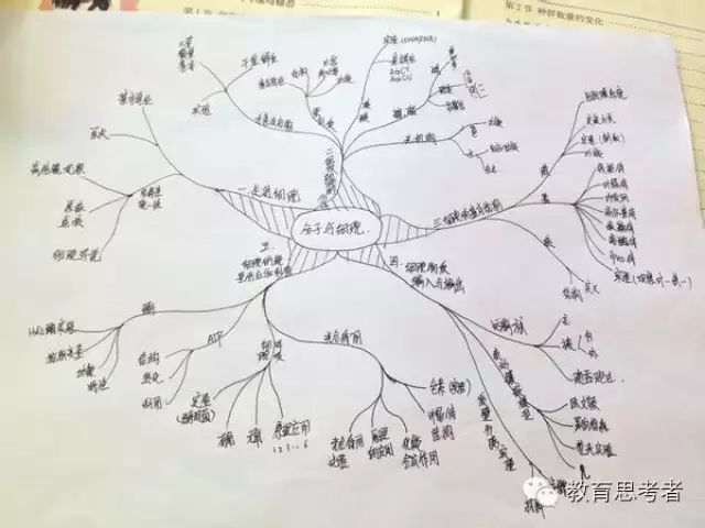 【生物思考】高中生物思维导图_心向往之520_新浪博客