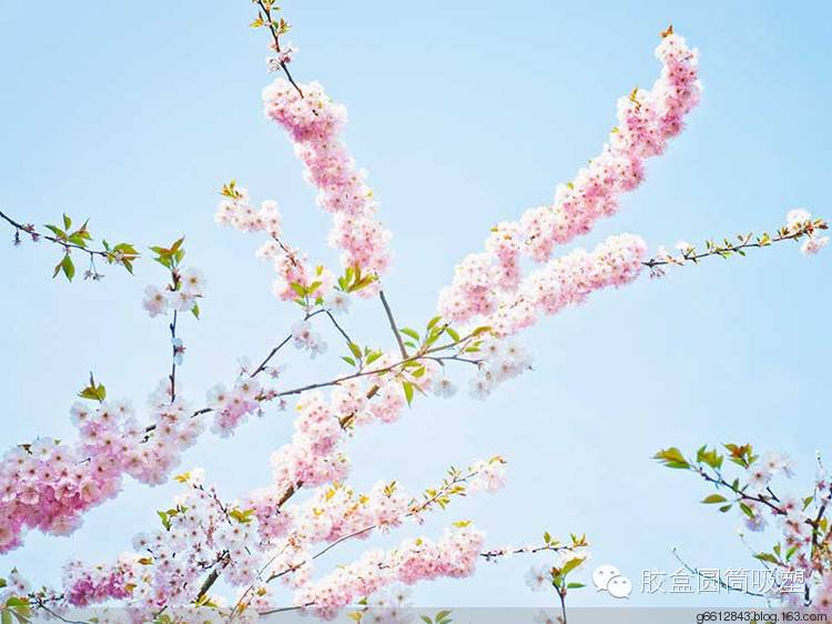 陈赫贾玲弹幕聊天 “淑芬铁柱CP”爆笑互撩