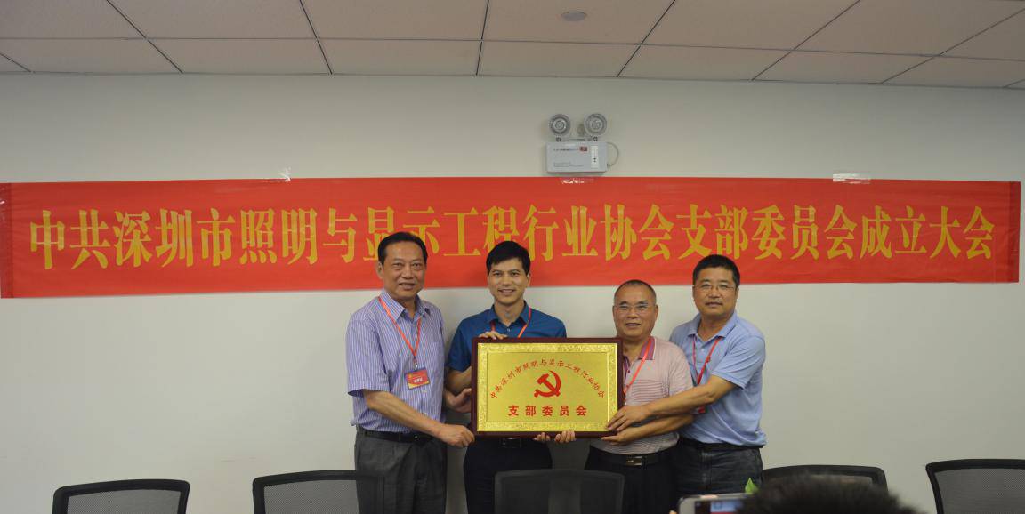 深圳市照明与显示工程行业协会党支部正式成立