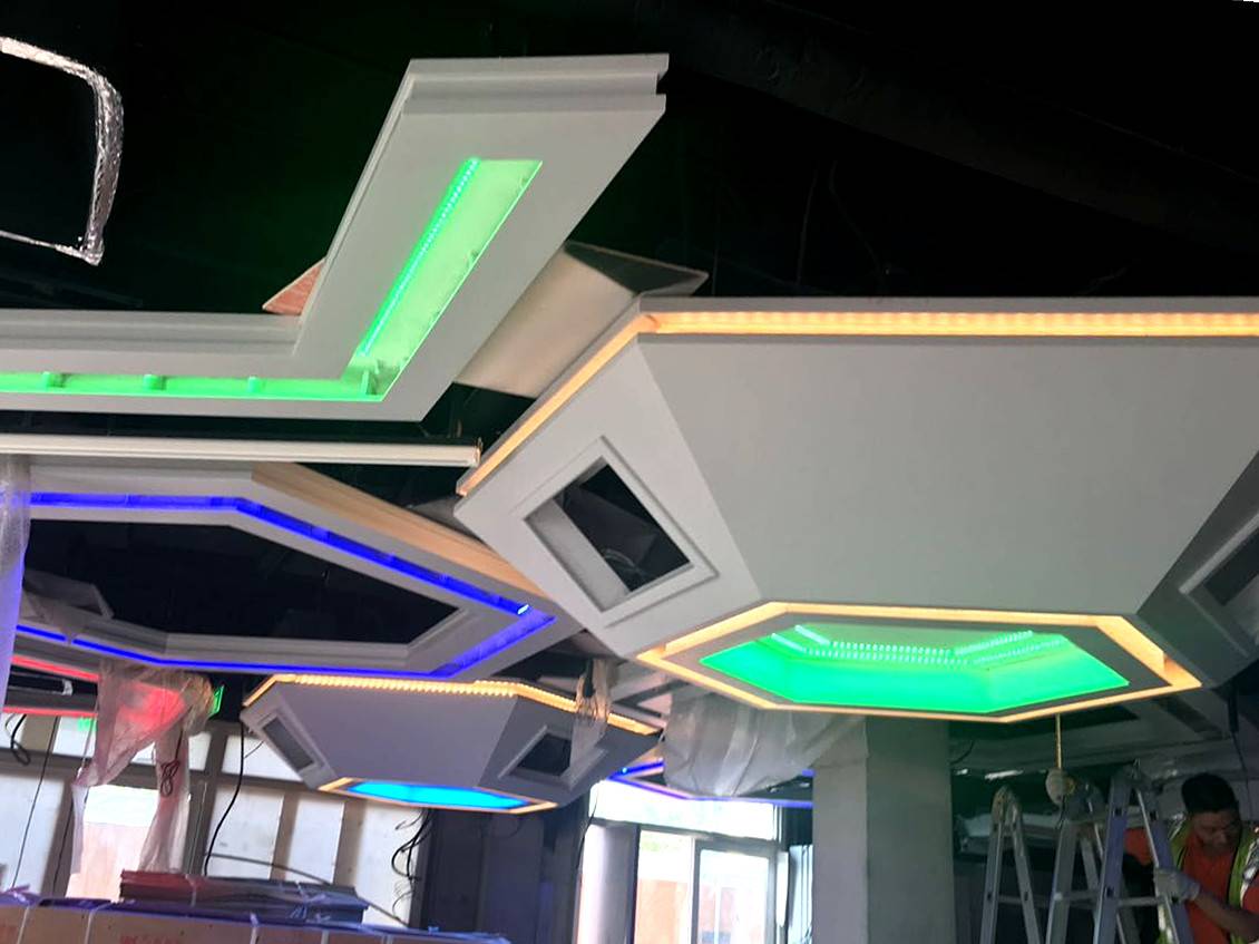 【会员风采】乐的美光电倾情助力上海迪斯尼乐园开园盛典