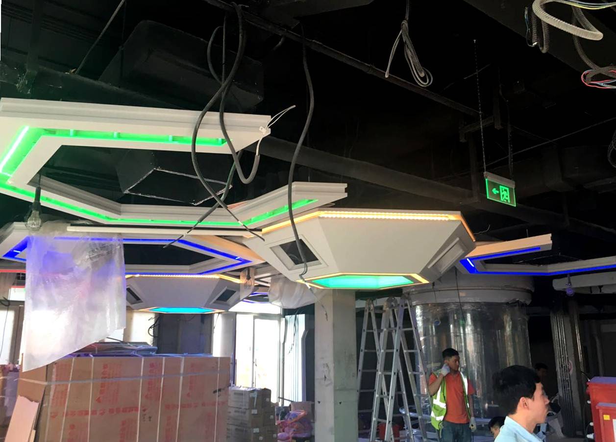 【会员风采】乐的美光电倾情助力上海迪斯尼乐园开园盛典