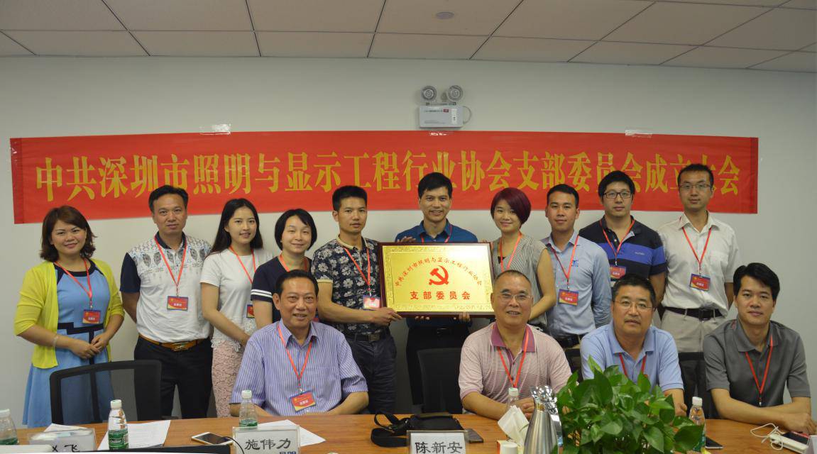 深圳市照明与显示工程行业协会党支部正式成立
