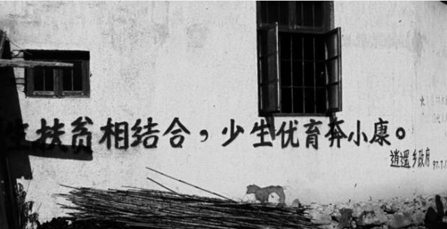 刚说二胎,标语已火!看到第9张我震惊了…-怀孕期