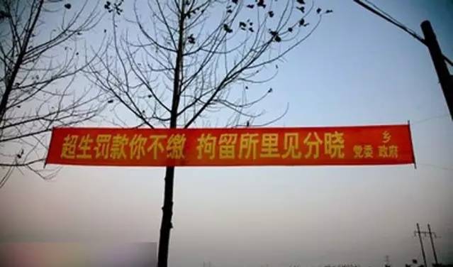 刚说二胎,标语已火!看到第9张我震惊了…-怀孕期