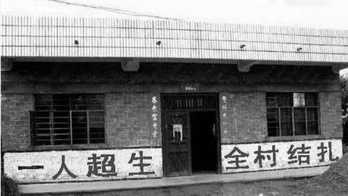 刚说二胎,标语已火!看到第9张我震惊了…-怀孕期