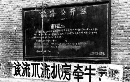 刚说二胎,标语已火!看到第9张我震惊了…-怀孕期