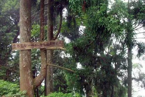 刚说二胎,标语已火!看到第9张我震惊了…-怀孕期