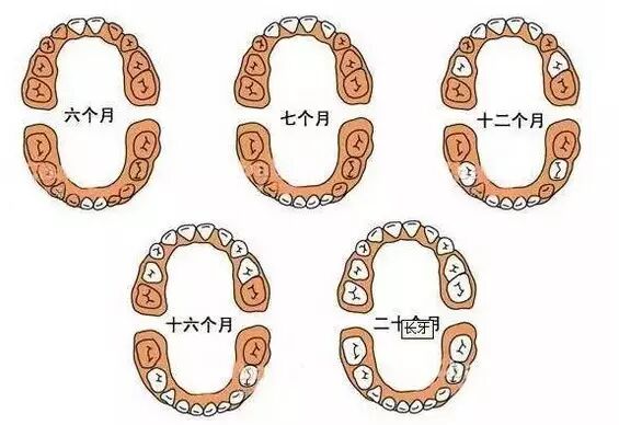 扬州宝宝出生就有牙齿,吓得医生忙拔掉!提醒准爸妈:怀孕时,这事别多做…-怀孕期