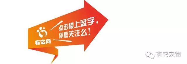 【宠物知识】狗粮内有多少乾坤？？”