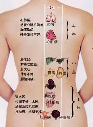 【岐黄砭术之脏腑通补术】边通边补，升清降浊