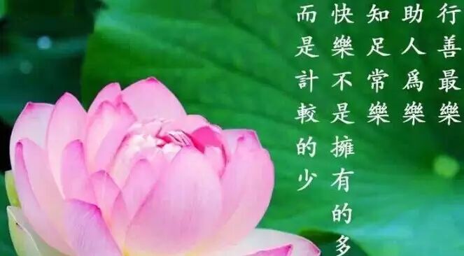 青岛素食大艾堂：佛教的素食理念与现代生活方式