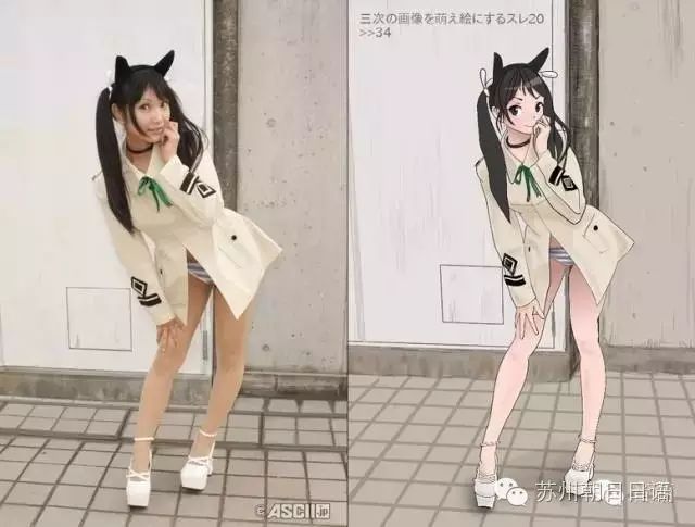 【科普】常见的二次元入坑必备词汇