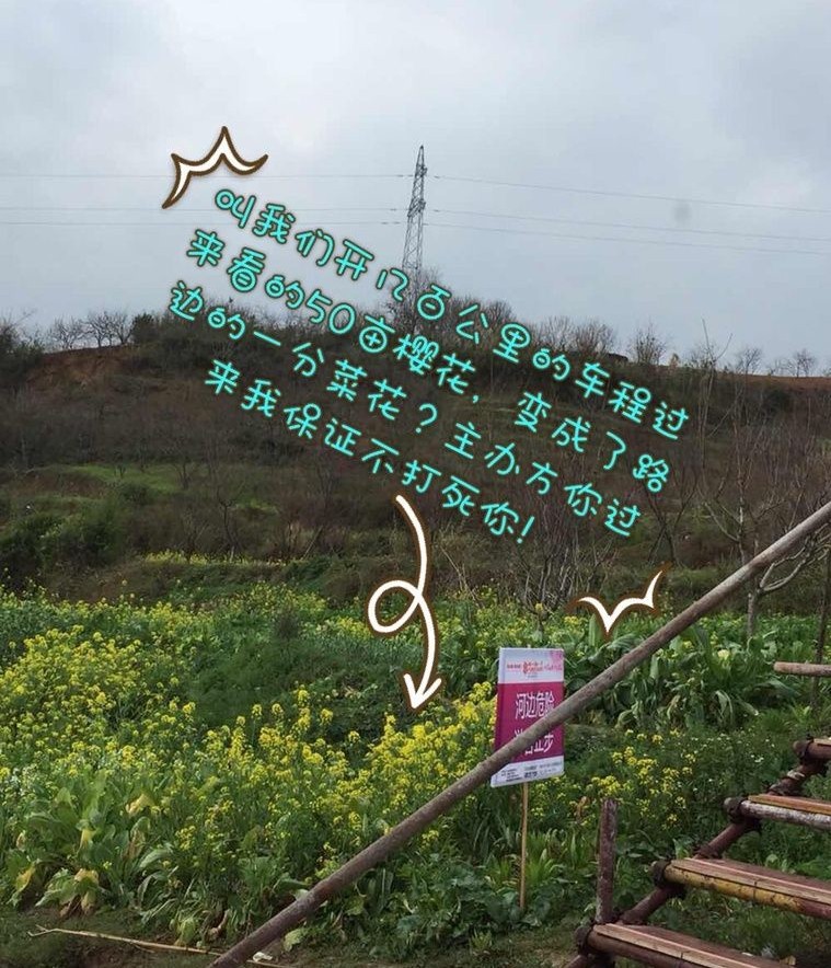 平乐樱花节彻底惹毛全国人民,游客大闹现场报警维权!708 / 作者:thkfh / 帖子ID:112226 平乐樱花节彻底惹毛全国人民,游客大闹现场报警维权!708 / 作者:thkfh / 帖子ID:112226