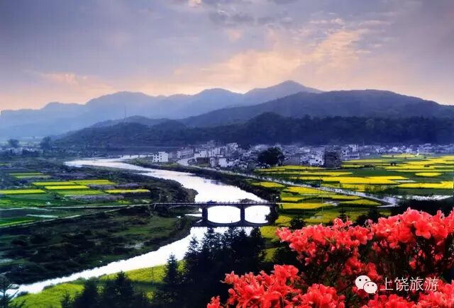 旅游服务满不满意，游客说了算！(图6)