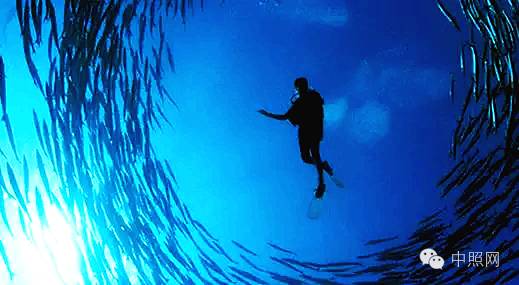 没有眼前的苟且，有的是设计师的诗和远方