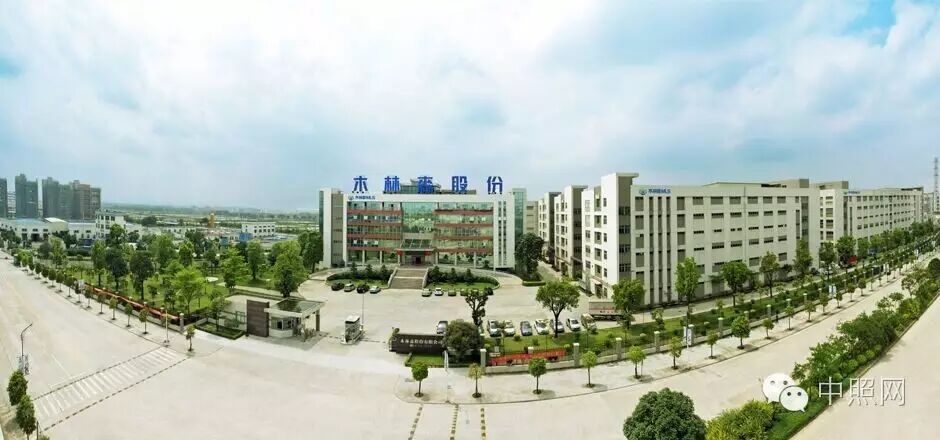 木林森3.15亿收购超时代光源80%股权 加码布局LED灯丝灯市场