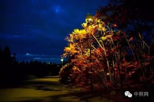 不同类型景观亮化设计的巧点