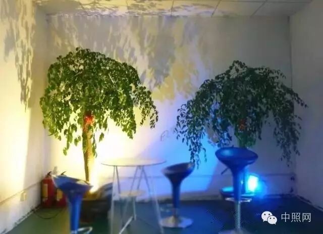 不同类型景观亮化设计的巧点