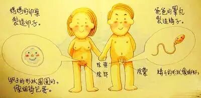 【悲剧】姐姐剪掉弟弟“小鸡鸡”,只因家长一句玩笑话…二胎妈妈注意喽!-怀孕期