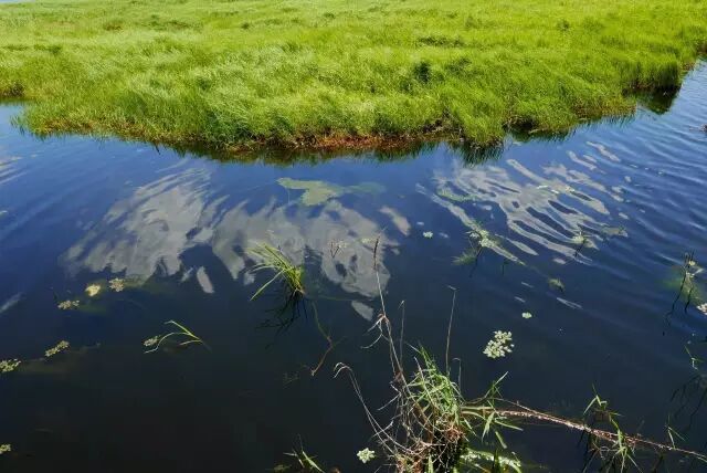 中国最美湿地——千鸟湖湿地公园