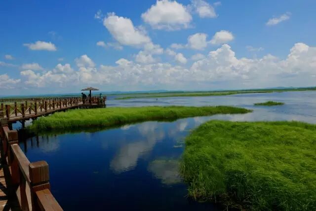 中国最美湿地——千鸟湖湿地公园