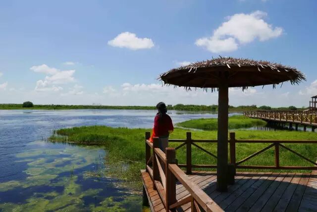 中国最美湿地——千鸟湖湿地公园