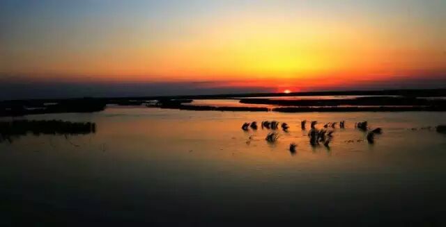 中国最美湿地——千鸟湖湿地公园