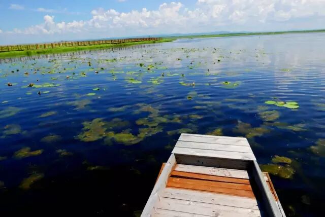 中国最美湿地——千鸟湖湿地公园