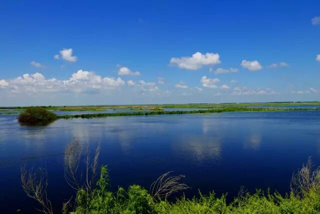 中国最美湿地——千鸟湖湿地公园
