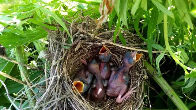 中国最美湿地——千鸟湖湿地公园