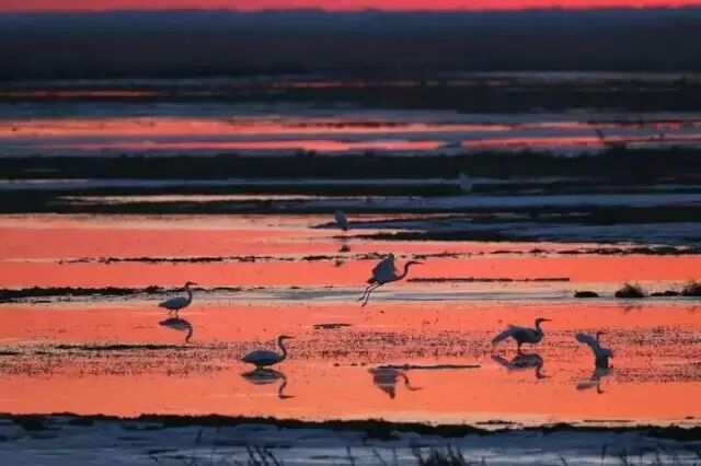 中国最美湿地——千鸟湖湿地公园