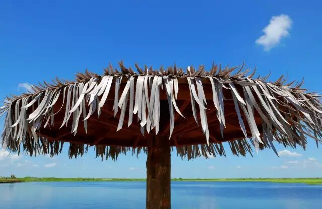 中国最美湿地——千鸟湖湿地公园