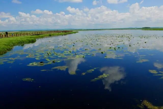中国最美湿地——千鸟湖湿地公园