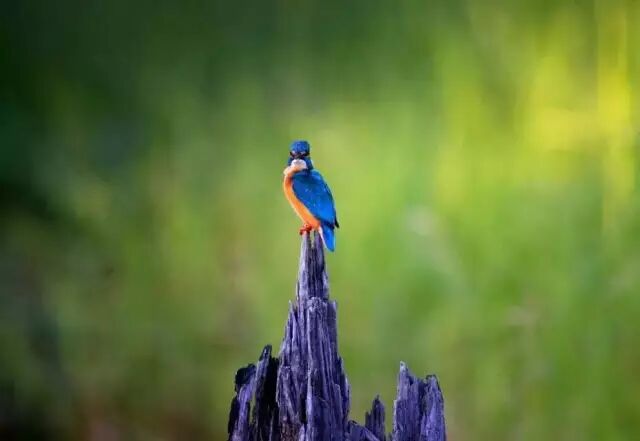 中国最美湿地——千鸟湖湿地公园