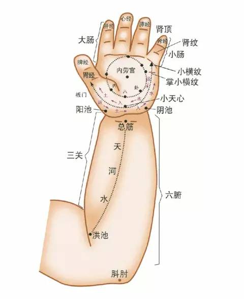 小儿推拿的穴位名词位置全篇图片注释