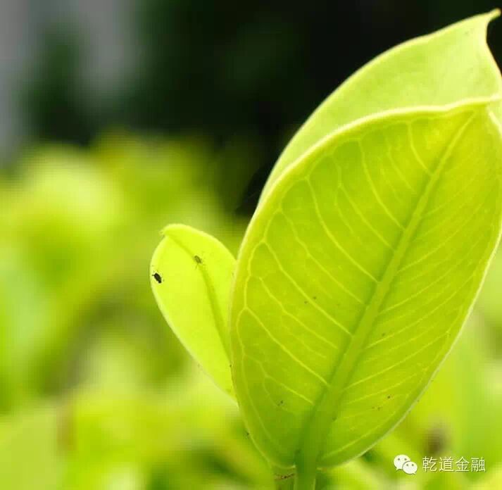 中国银行收入证明模板_中国各阶层收入