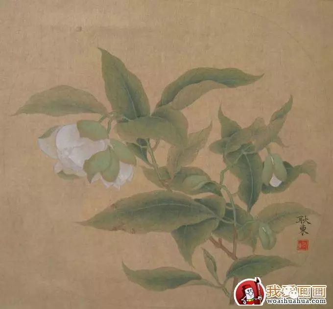 国画工笔花卉教程:临摹工笔画《夜合花图》的步骤