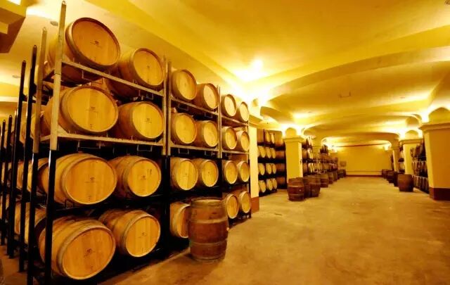 休閑農(nóng)業(yè)項(xiàng)目怎么投資，先看看這些！(圖9)