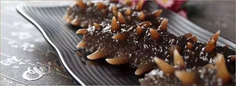 【视频】我叫海参，这是我的故事！