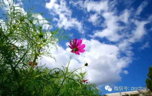 优美的诗句带你走进温暖的春天 - 晓阳 - 晓阳的博客 优美的诗句带你走进温暖的春天 - 晓阳 - 晓阳的博客