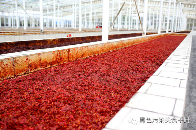 巴蜀食记——川味火锅求真