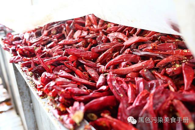 巴蜀食记——川味火锅求真