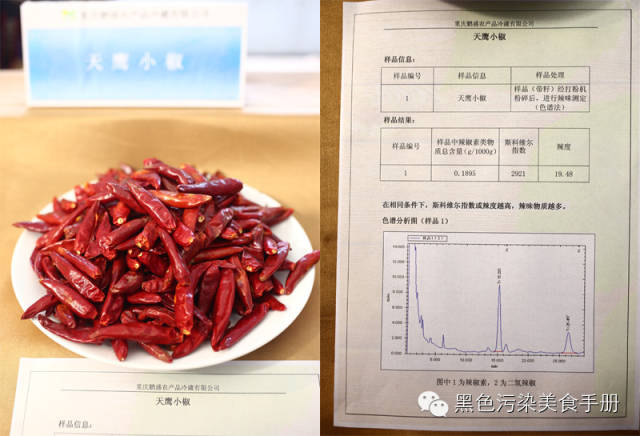 巴蜀食记——川味火锅求真