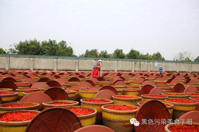 巴蜀食记——川味火锅求真