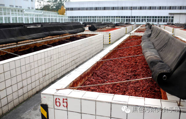 巴蜀食记——川味火锅求真