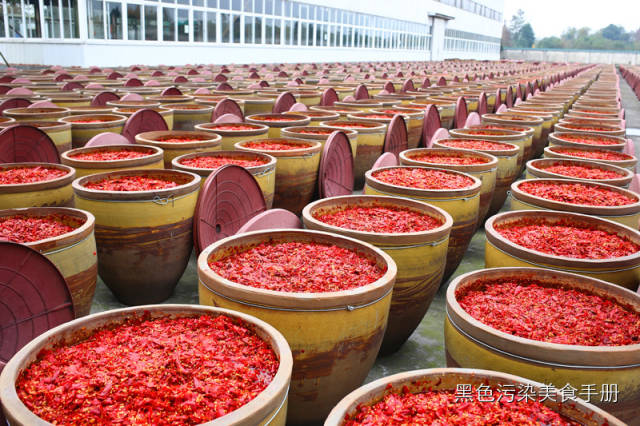 巴蜀食记——川味火锅求真